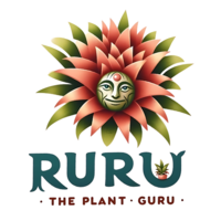 theplantguru.co.za